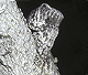 Poltys illepidus