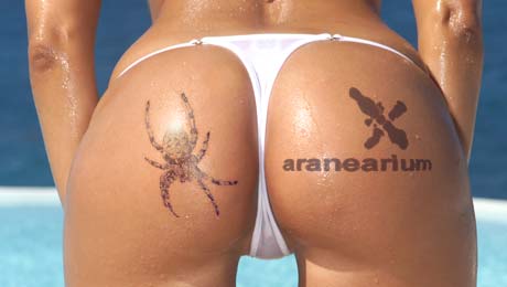 Slet Spolku přátel Aranearia