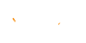 rozšíření - Homalonychidae