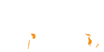 rozšíření - Micropholcommatidae