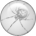 ARANEAE